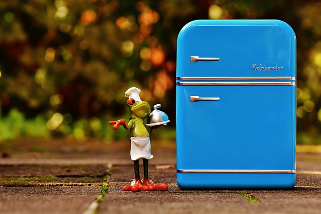 Fra køleskabskaraffel til kunstværk: Kreative måder at dekorere dit køleskab på
